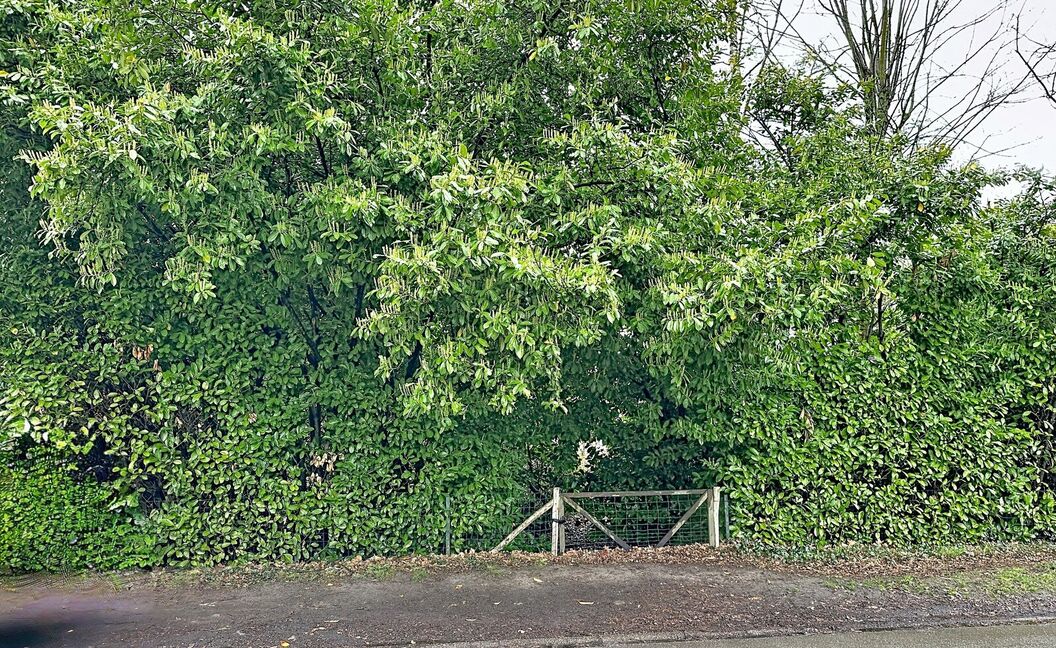 Bouwgrond te koop in Aartselaar