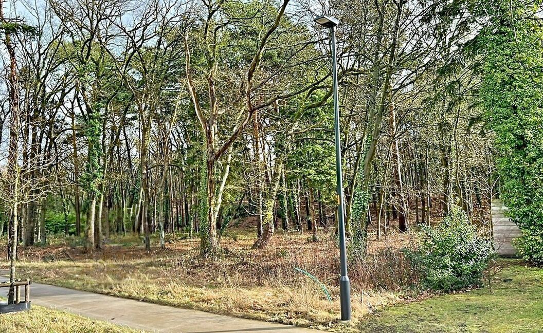 Bouwgrond te koop in Grobbendonk