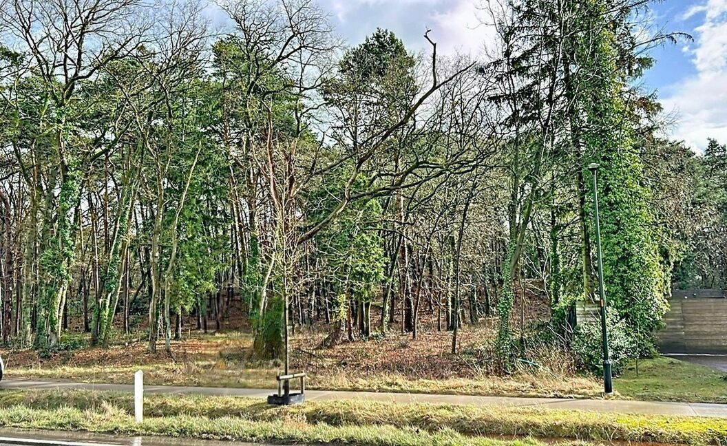 Bouwgrond te koop in Grobbendonk