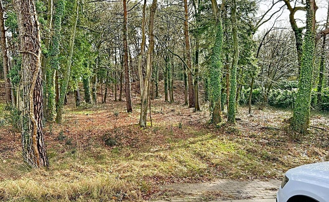 Bouwgrond te koop in Grobbendonk