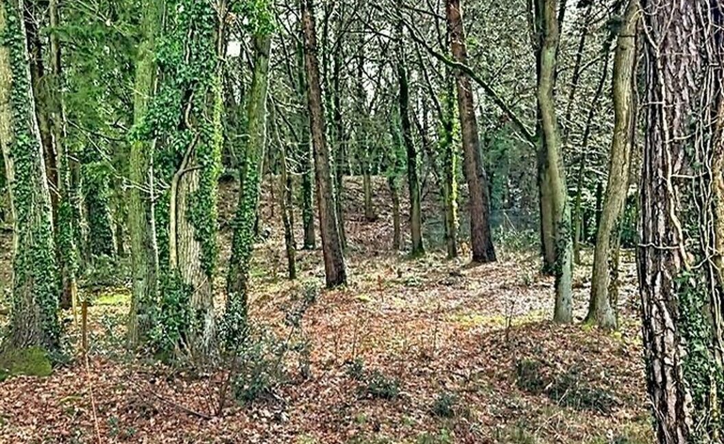 Bouwgrond te koop in Grobbendonk