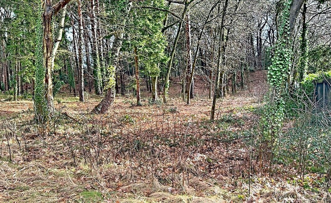 Bouwgrond te koop in Grobbendonk