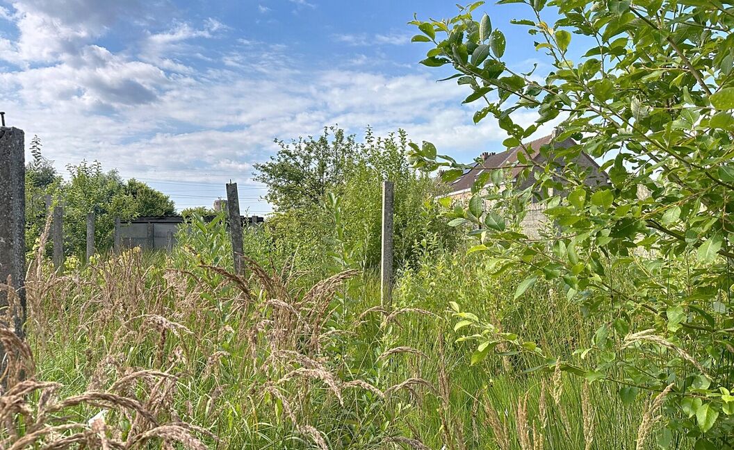 Bouwgrond te koop in Schelle