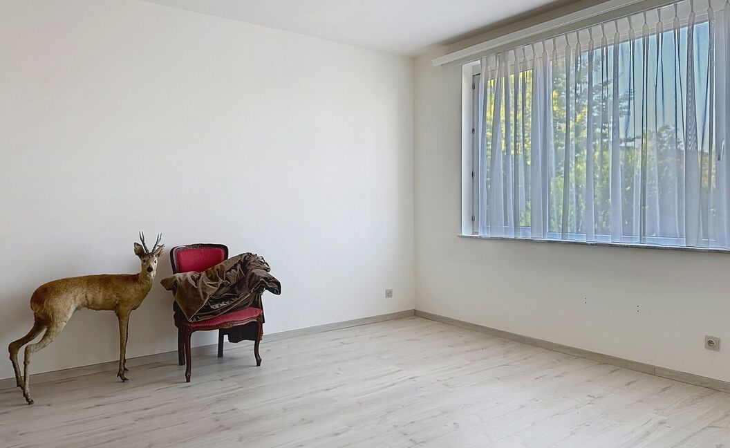 Ruime gezinswoning met stadstuin in rustige wijk 🌿🏡

Op wandelafstand van het centrum vind je deze te renoveren woning met veel potentieel.
Gelijkvloers wonen, een gezellige stadstuin en maar liefst 5 slaapkamers maken dit een ideale gezinswoning.

