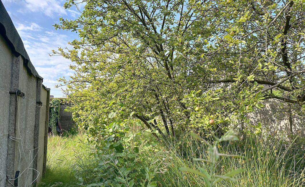 Huis te koop in Schelle